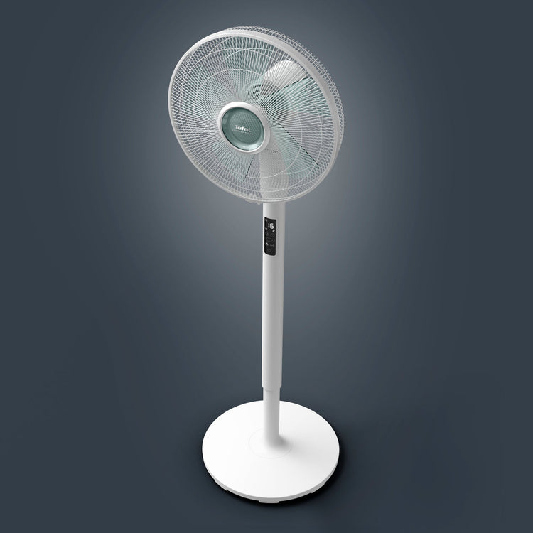 Home Care